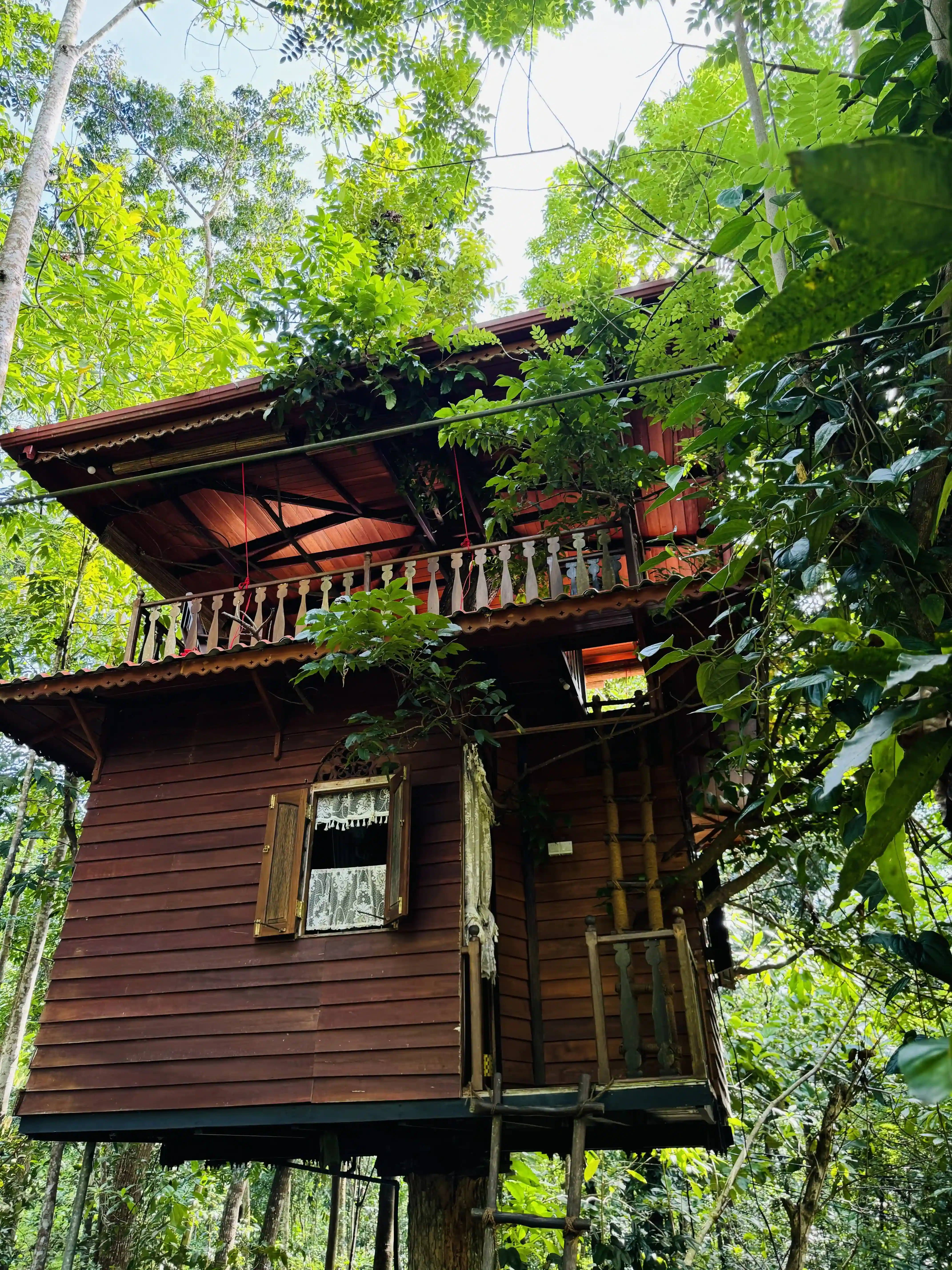 Tree House Midigama