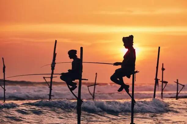 Traditional Stilt Fishermen